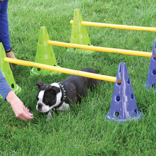 FitPAWS Zestaw do treningu agility dla psa Canine Gym