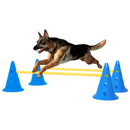 vidaXL Zestaw przeszkód treningowych dla psa, niebiesko-żółty